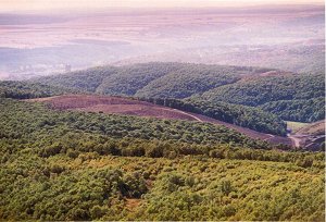 monte  corcos
